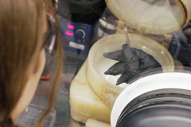 black-gloved hand in a lab removing a new solar cell prototype from a device